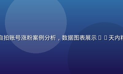 小红书国产自拍账号涨粉案例分析，数据图表展示30天内粉丝增长曲线